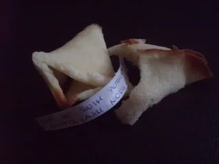 kolačić sudbine
