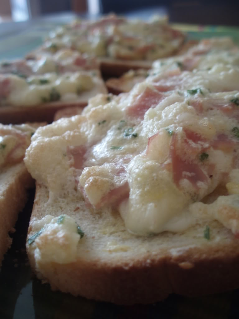 Tost sa sirom, šunkom i začinskim biljem