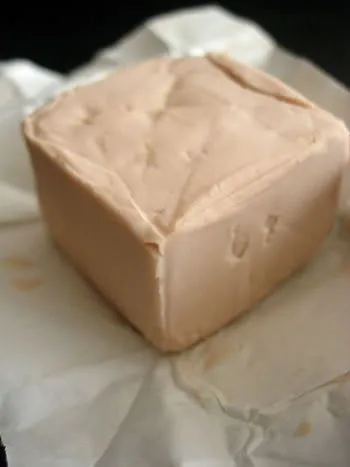 kvasac
