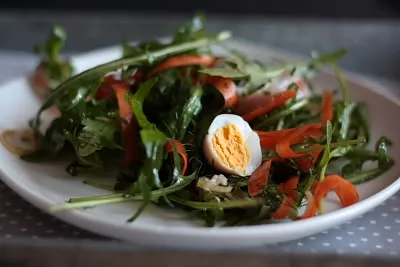 salata