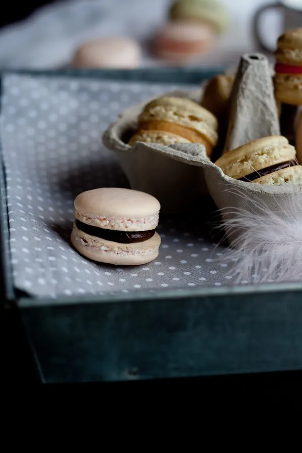 macarons
