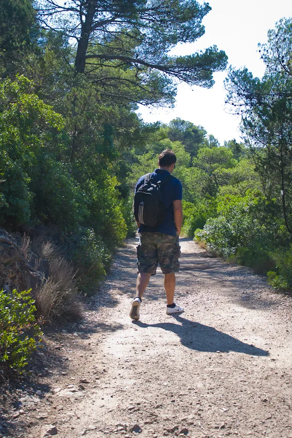 Mljet