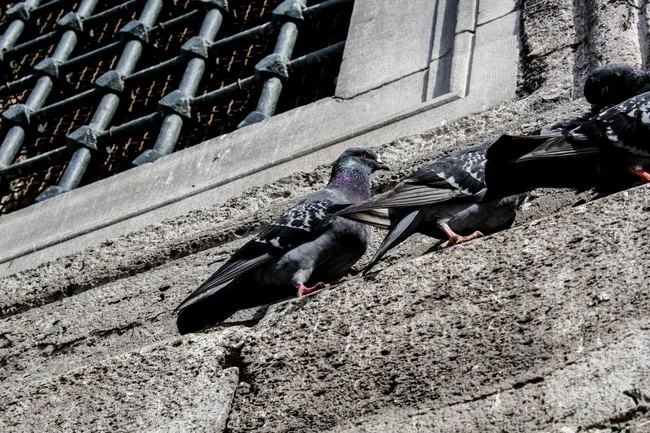 Istanbul 